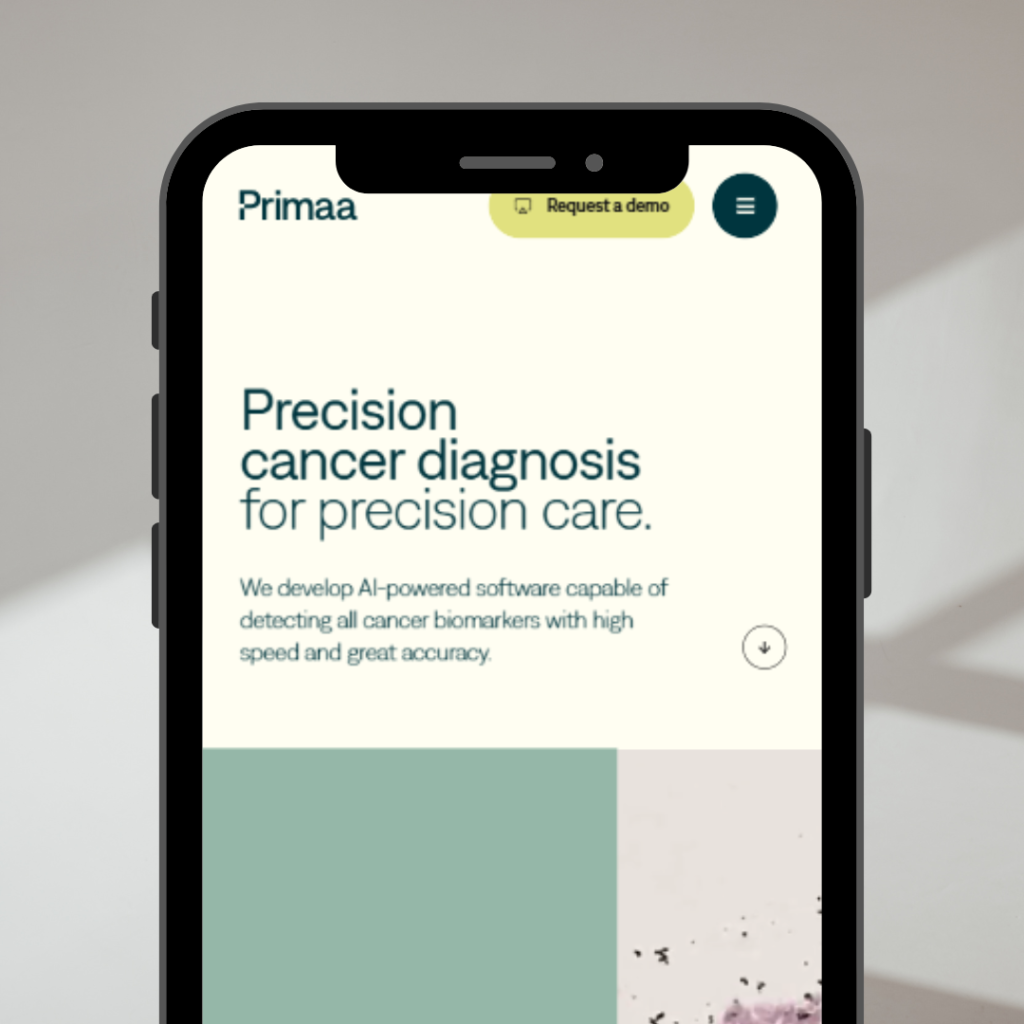 primaa WEBSITE DESIGN